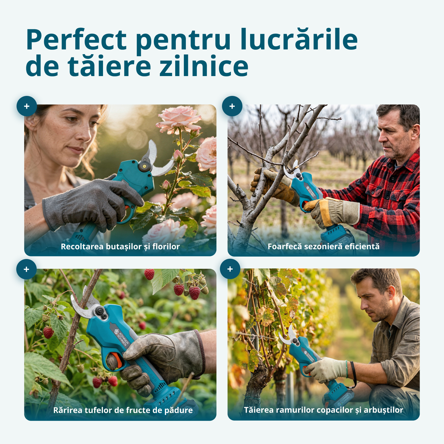 Pachet promoțional pentru tăiere KS MCS-CSP-SET